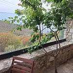 Vila D Boutique Hotel